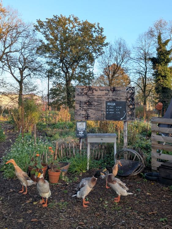 bcbbce07-4f1b-5467-b413-007e1afb12d5