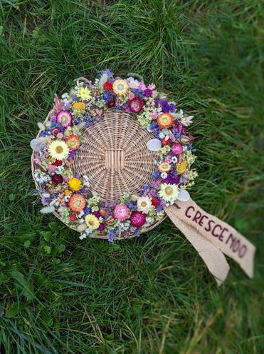 PXL 20231021 075055187.PORTRAIT