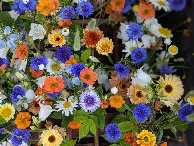 WhatsApp Image 2026-01-26 at 08.39.41