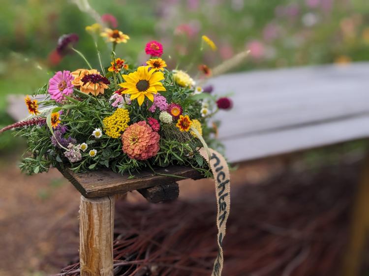 PXL 20231012 073444500.PORTRAIT