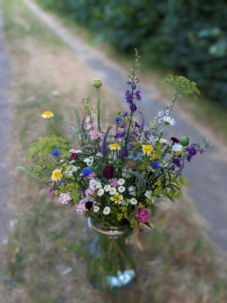 PXL 20230617 035143586.PORTRAIT