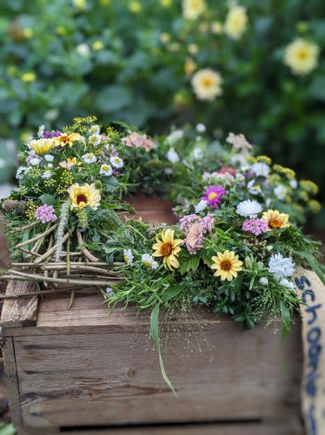 PXL 20231012 073946593.PORTRAIT