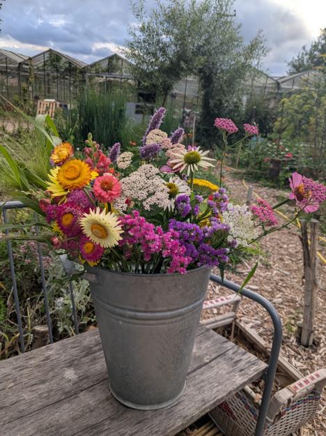 PXL 20250722 184221590