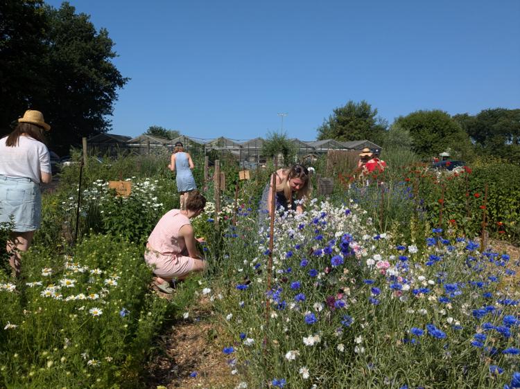 PXL 20250621 084747724