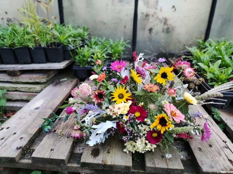 WhatsApp Image 2023-10-24 at 19.55.23