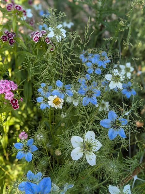 PXL 20250521 152045818.PORTRAIT