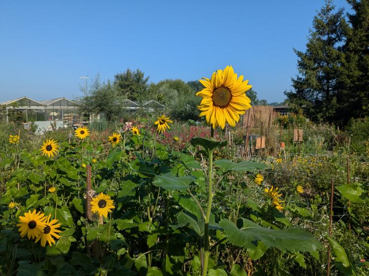 PXL 20250809 071007997 (1)