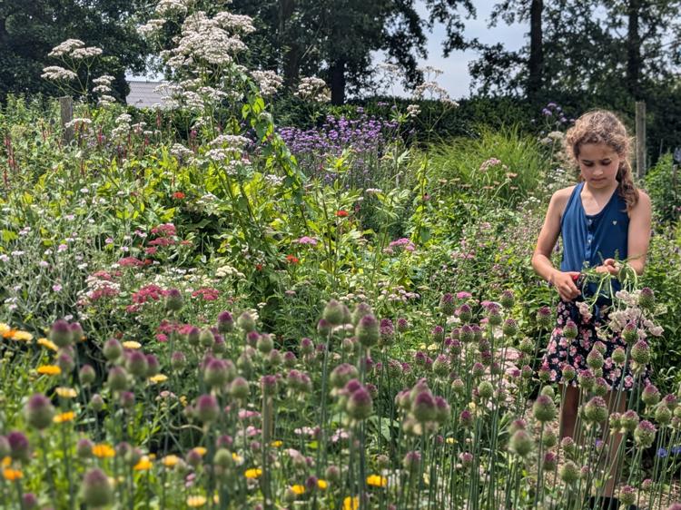 PXL 20240709 111105170.PORTRAIT