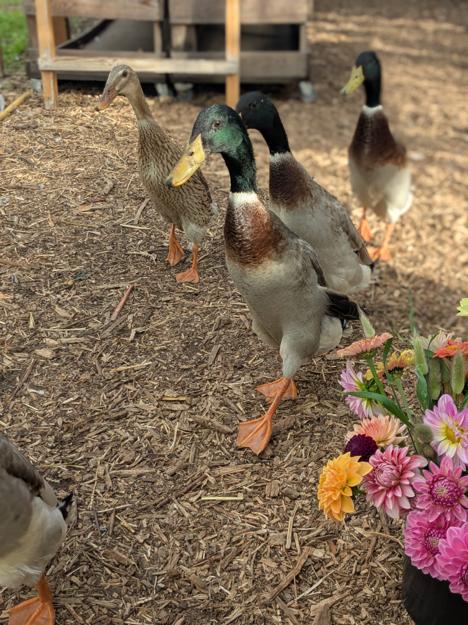 PXL 20251022 134231672.PORTRAIT